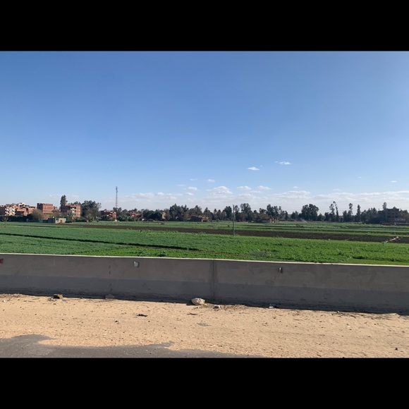 engashrafnassar